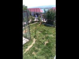 Vid 20190621 112623 mp4