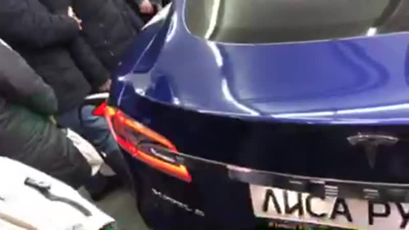 Елена лисовская (лиса) в ульяновске