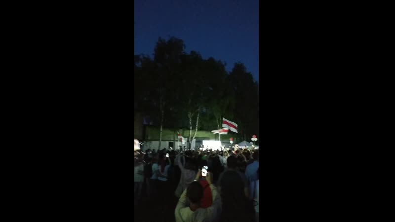 Тры чарапахі з бабруйску