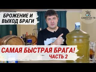 Самая быстрая брага! брожение и выход браги часть 2