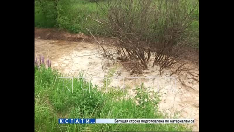 Молокозавод, бывший рассадником антисанитарии, сбежал, свалив гниющие останки в лесу