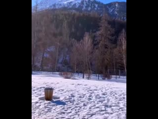 Royal music 20190319 0001 mp4