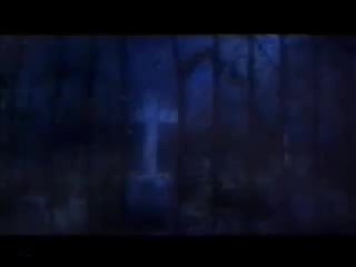 Malice mizer saikai no chi to bara pv