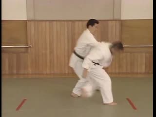 Yoshinkan aikido part 2