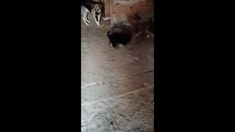 Красновой porn video – Видео от юли красновой