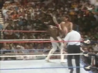 Summerslam 1988 1/2