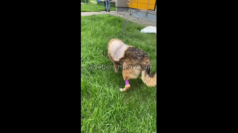 #сбитая измайлово