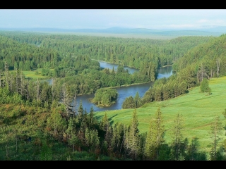 Русская тайга