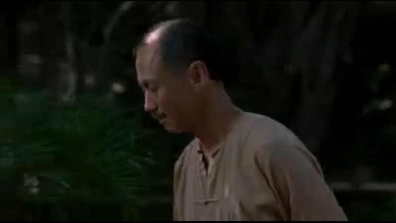 Кикбоксёр (тренироа)