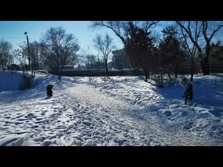 Vid 20200118 120232 mp4