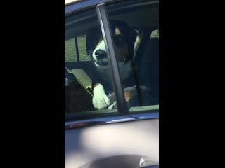 Visiting me at college tippy taps