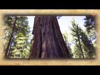 Минем динем 31 чыгарылыш мәхмүт хәзрәт