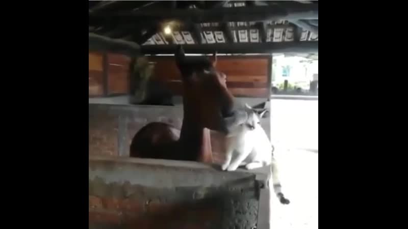 That fееls rеally gооd right thеrе