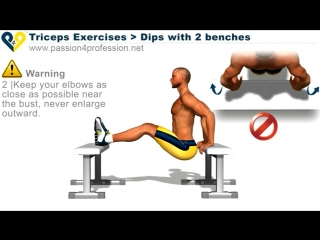 Dips with 2 benches triceps