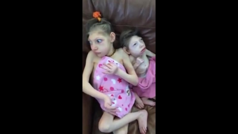 Овощ пукнул и испугался