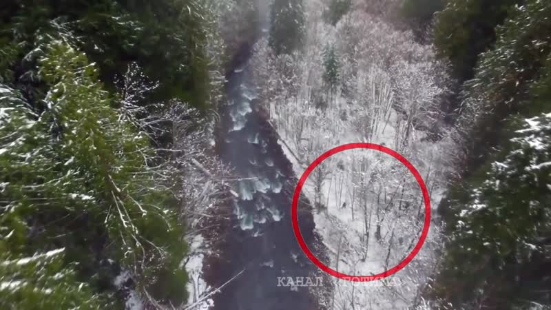 Найдена видеокамера туристов жуткое болотное чудовище 5 видео, непонятные существа в лесу