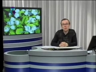 Экология передача 13 растения очистители