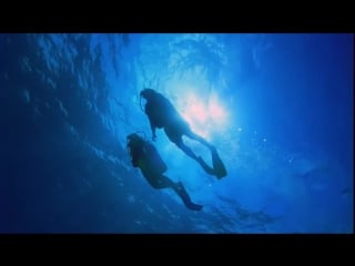 Scuba diving 699