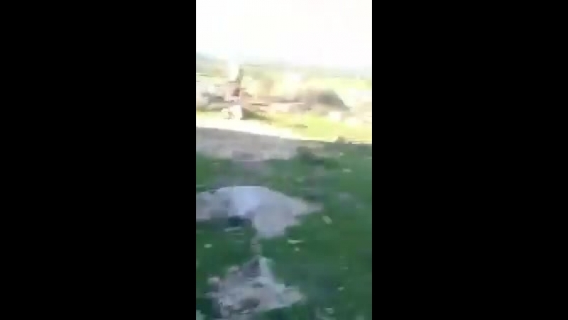 Боевики молодые оппозиции воруют кур из селения в африне