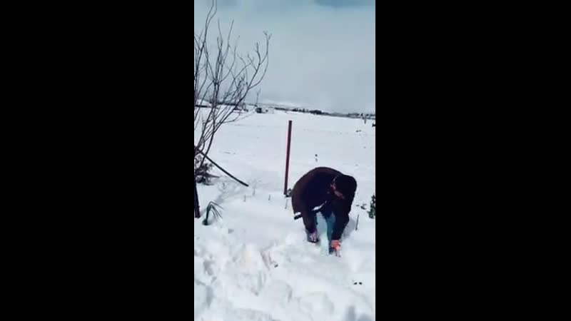 Nasrallah harmoush snow chal
