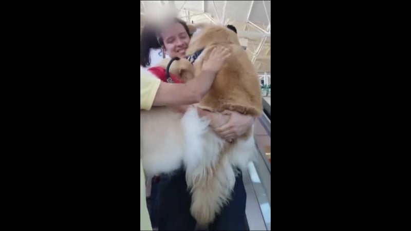 Когда боишься эскалатора