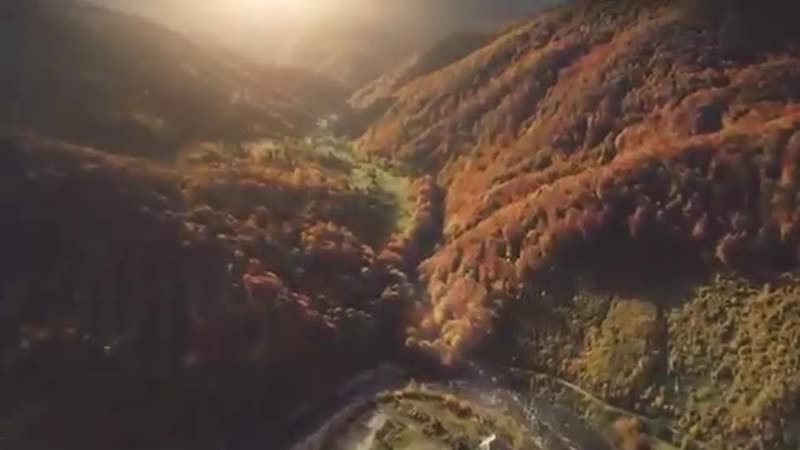 Знания об аллахе имам шамиль аш шафиий