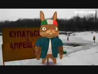 Видео от нелли шимко