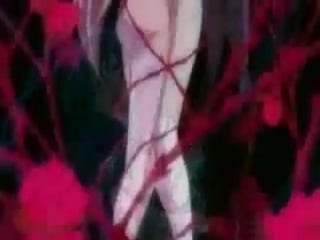 Kannazuki no miko & strawberry panic!