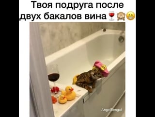 Твоя подруга после двух бокалов вина🍷🙈😁