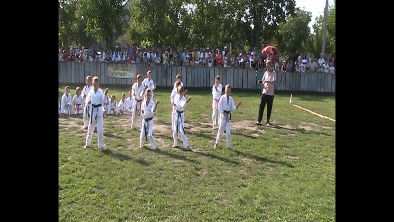 День державного прапору україни показовий виступ мц"дзансін" діти це наше майбутнє)