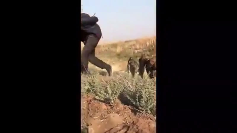 Пленённые курды в районе тель абьяда