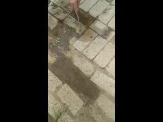 Trim 20200507 111728 mp4