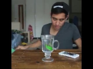 Magical goldfish видео (ns)