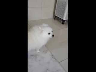 201210 golden porn twitter update