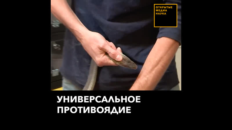 Универсальное противоядие