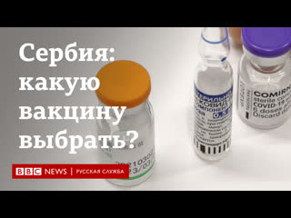 «спутник», astrazeneca, pfizer или sinopharm – какую вакцину выбрать?