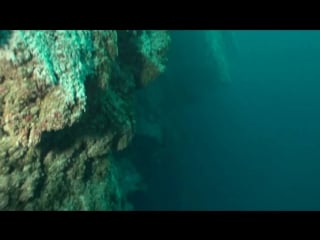 Exploring mysterious and enigmatic belize great blue hole