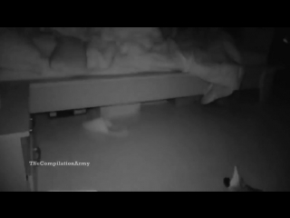 Самые жестокие шутки над людьми