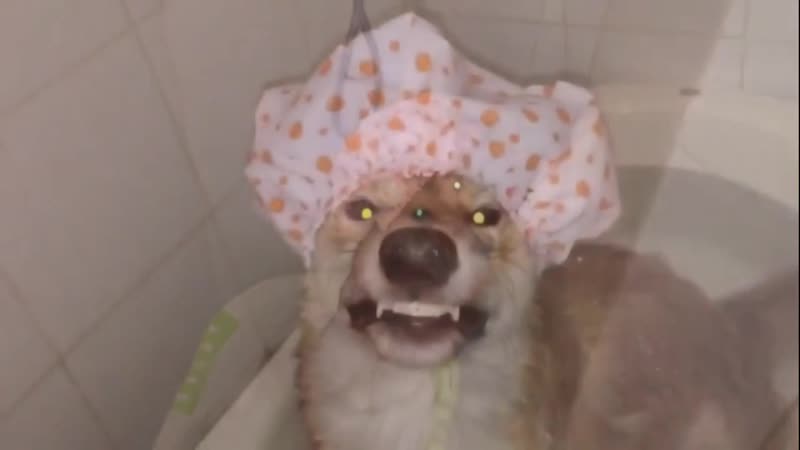 Принимаем ванну