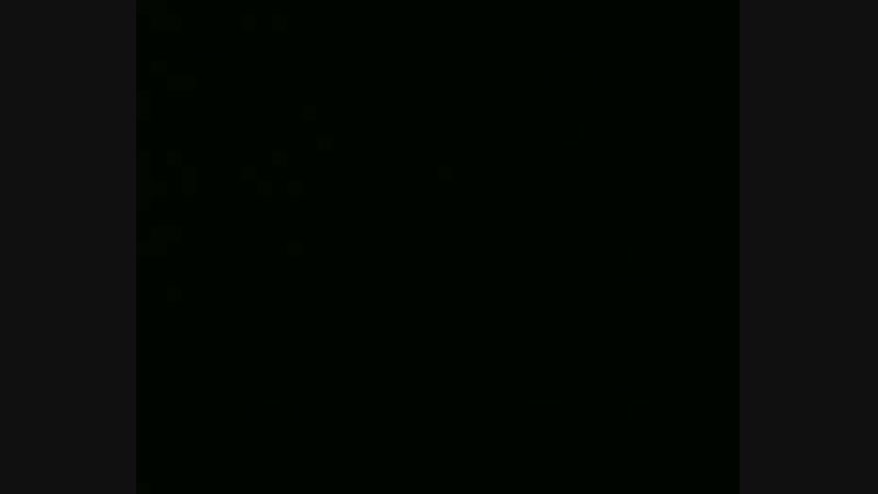 Broder daniel i'll be gone