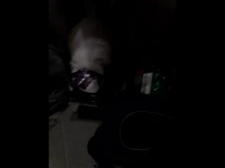 Vid 20150408 181755