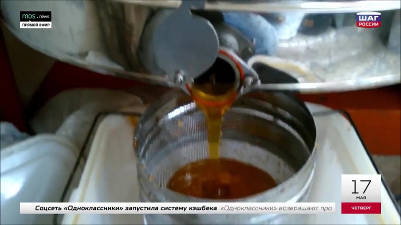 Дальневосточный гектар бизнес на земле ежедневные новости «шага россии» от