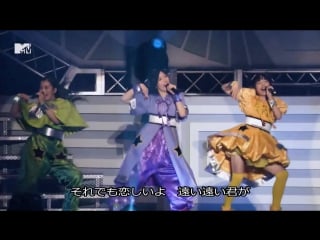 Team syachihoko country girl