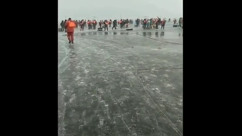 Ледовое побоище 😂👍
