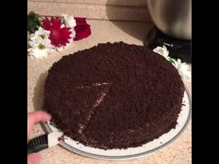 Isaeva zamuzhem bwjsrrjlqlm mp4