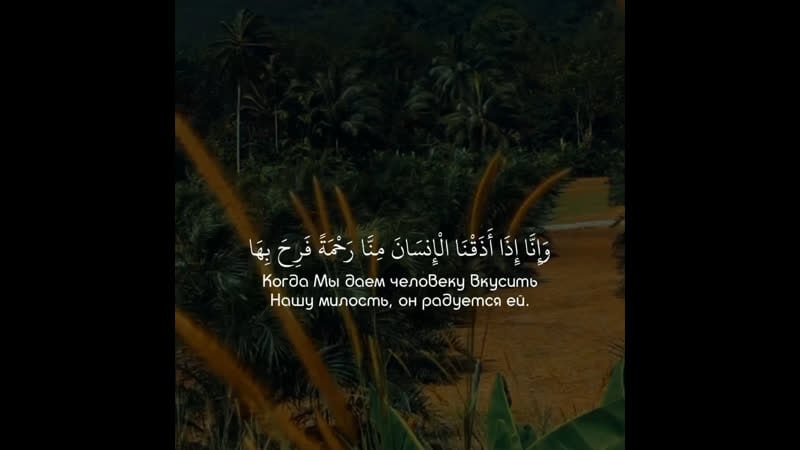 Чтец naseer al qatami surat « 42 ash shura »