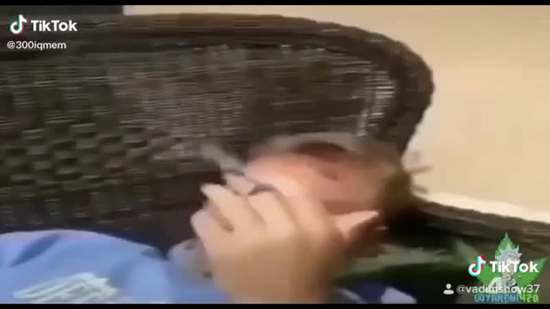 Така porn video – Мм бро шо це за сишка така?