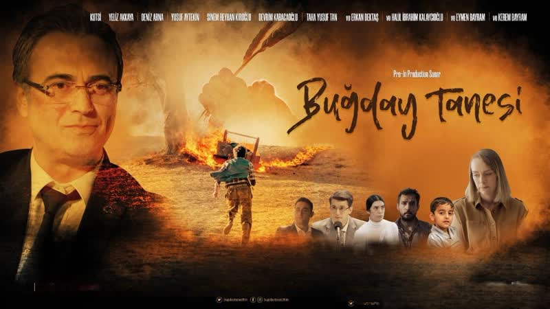 Пшеничное зерно (2022) bugday tanesi