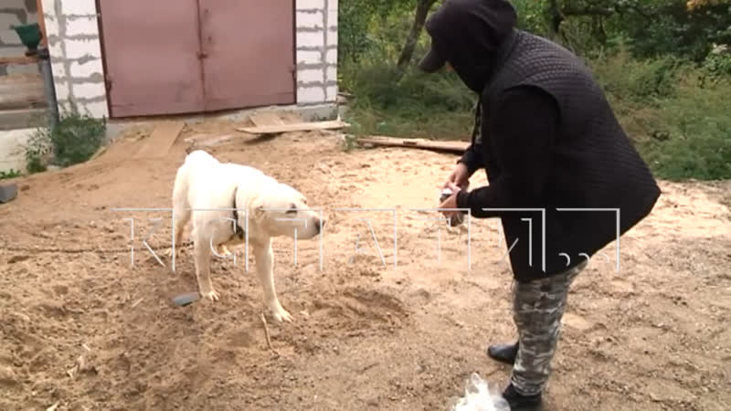 Рядом с гаражом, где бизнесмен удерживал украденную для сексуального молодые девушку обнаружена новая жертва