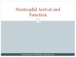 2 1 acute inflammation (part 2)